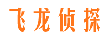 岚皋找人公司